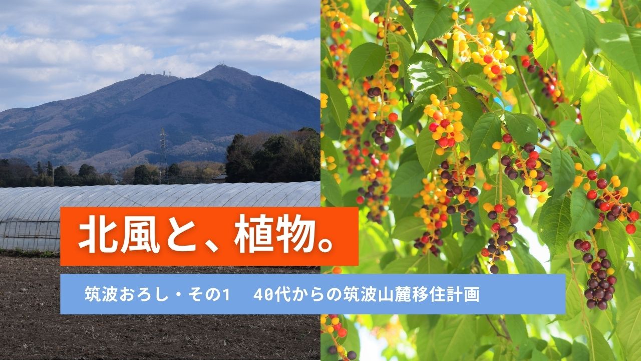 筑波山麓で植物と共にある暮らしを楽しみたい、でも冬の寒風が心配。「筑波おろし」の正体とは？