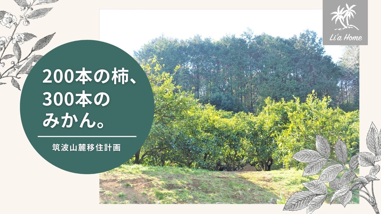 石岡市・嶋村観光果樹園さんのおはなし。