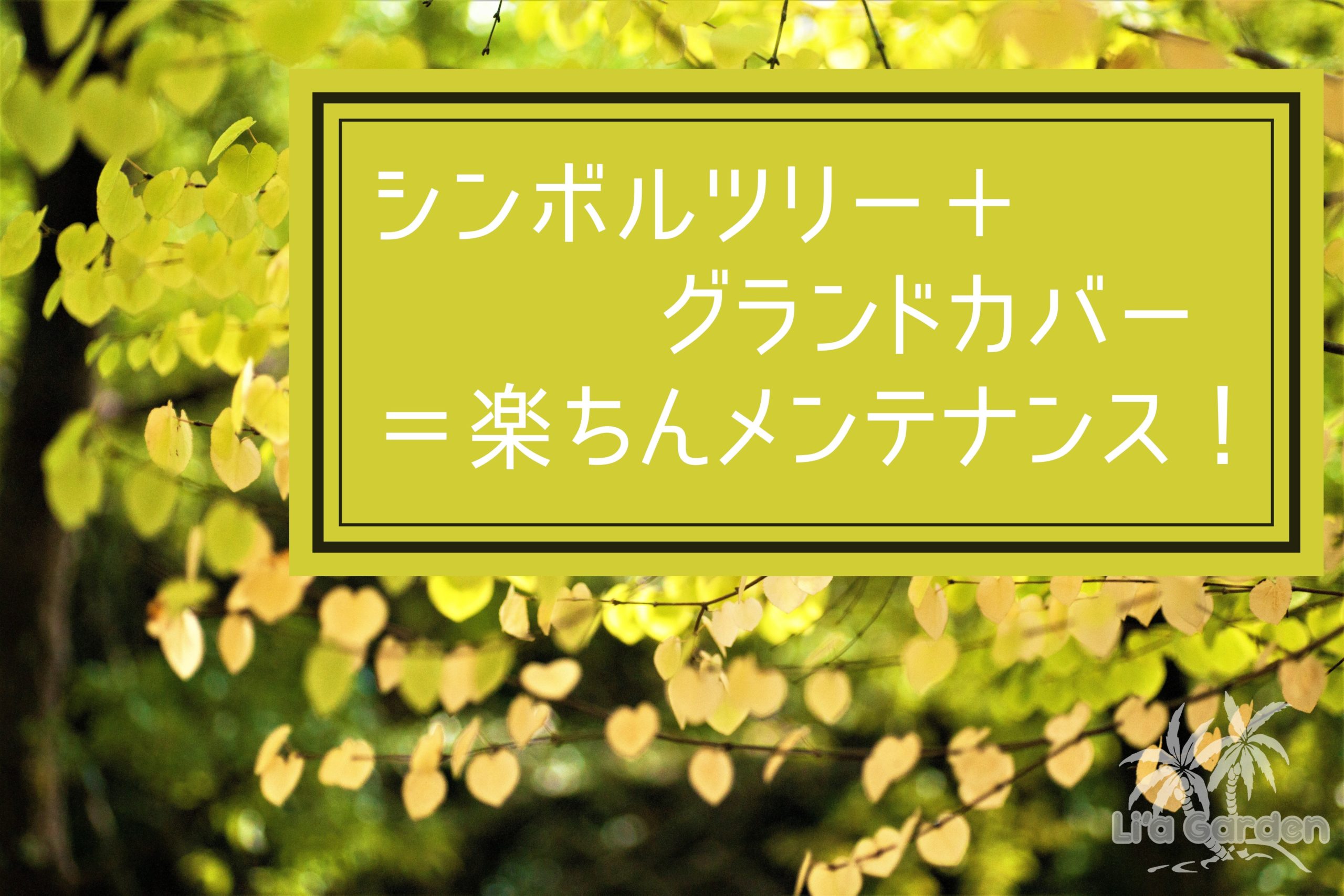 つくば市でお庭にシンボルツリーを植えよう！マイホームの庭づくりを考える際に知っておきたいシンボルツリーの魅力・その2