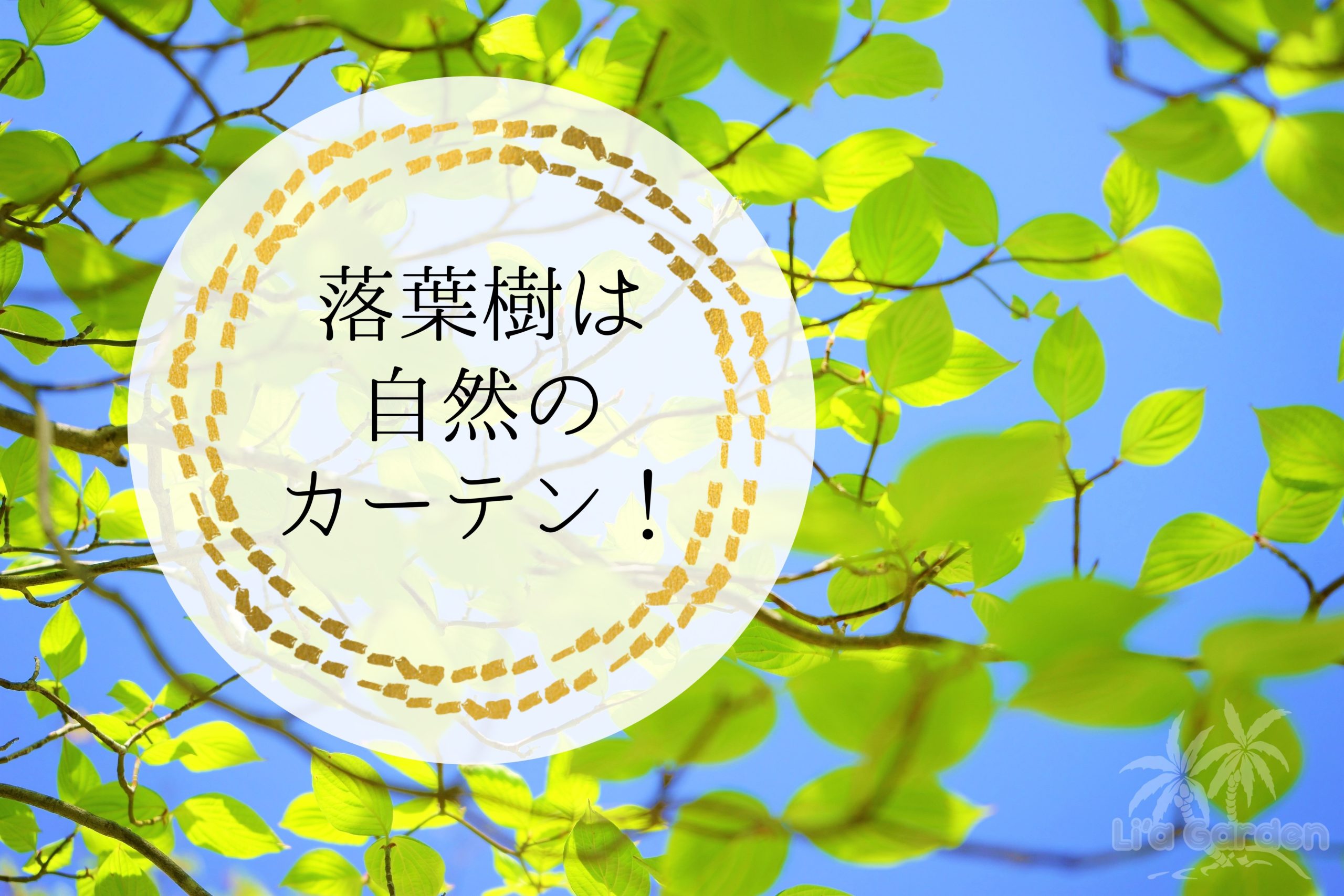 つくば市のお庭にシンボルツリーを植えよう！マイホームの庭づくりを考える際に知っておきたいシンボルツリーの魅力・その6